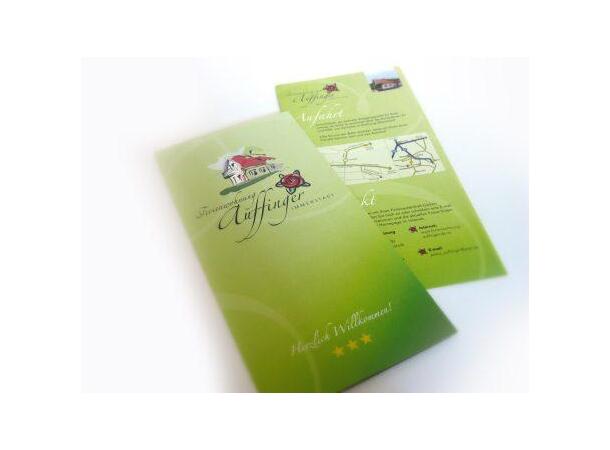 Flyer med trykk 4+4 farge (98 x 210 mm) 